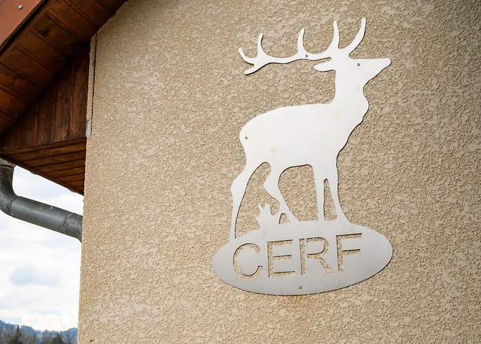 Cerf 루프트쉬르모젤